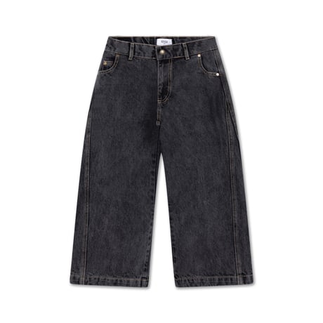 Repose AMS Wide leg denim pant / Slate grey