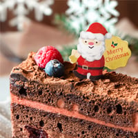 XSL_01【クリスマスホイルピック　サンタ】100枚