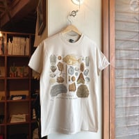 ATLAS SCREEN PRINTING FOSSILS GUIDE TEE