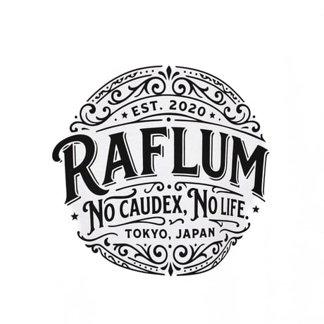 RAFLUM Tee on NEWTRAL Blank 【RUDE SUN】 WHT