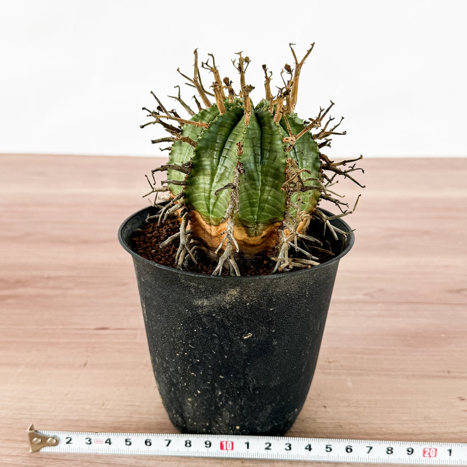 6ac0406e392e78f95d3ddbd3