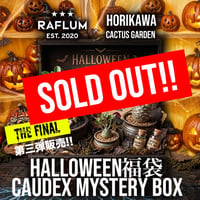 【最終販売】第三弾!! 10/19 20時スタート！🎃ハロウィン福袋スペシャルボックス【Caudex Mystery BOX】🎃