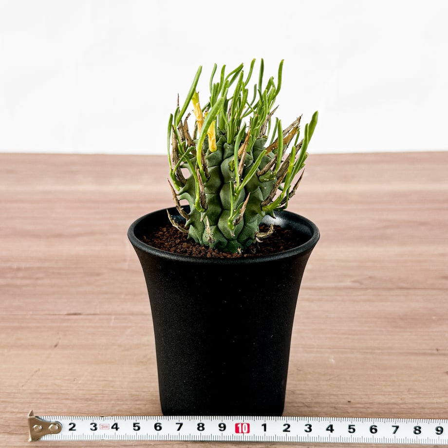 6ac03e5b9ca9e3336e0d0677