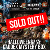 10/17 21時スタート！🎃ハロウィン福袋【Caudex Mystery BOX】🎃 ※数量限定※
