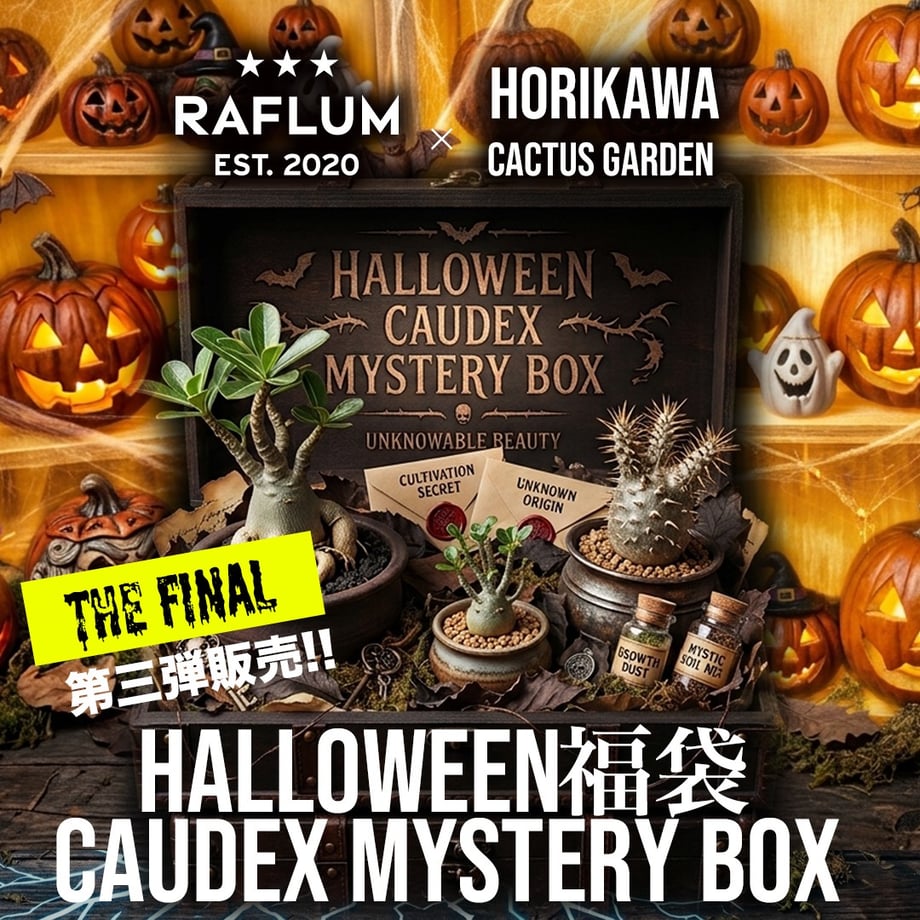 6ad4bf667cb156db73b5bb02