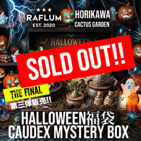 【最終販売】第三弾!! 10/19 20時スタート！🎃ハロウィン福袋【Caudex Mystery BOX】🎃 ※数量限定※