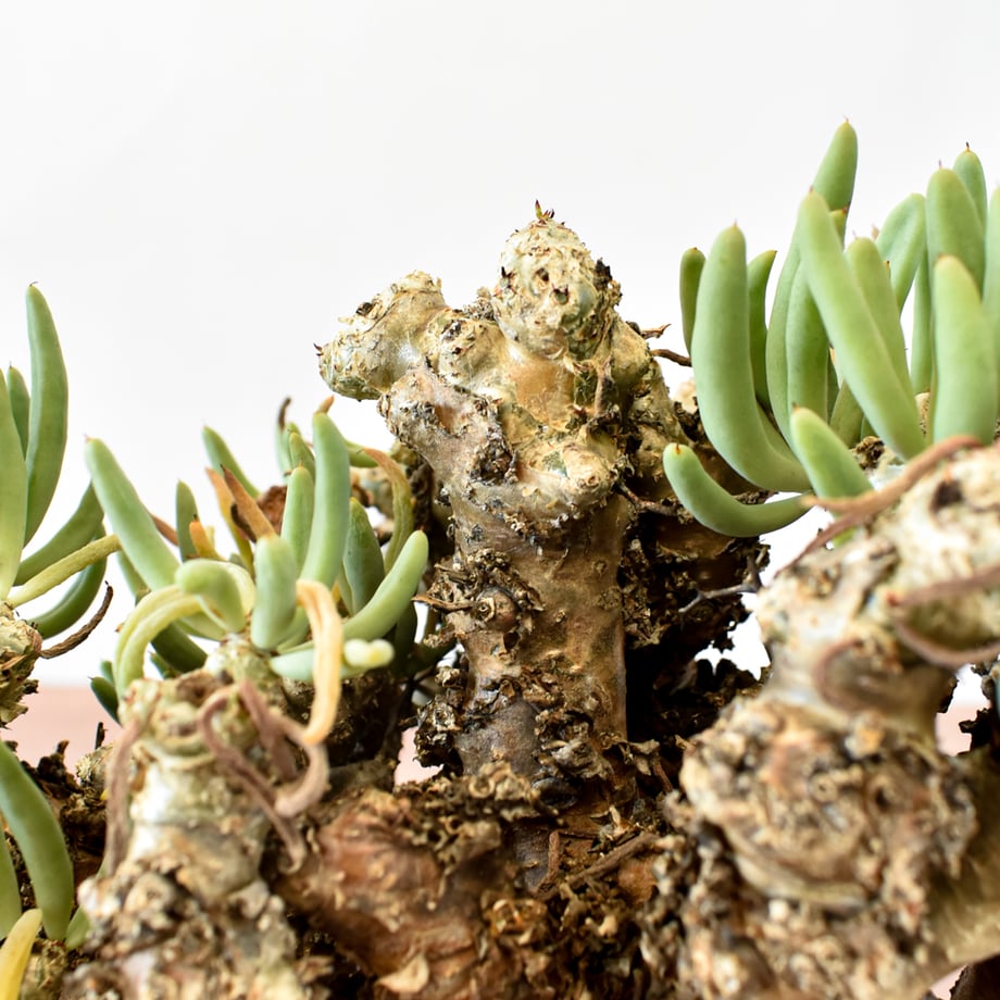 6a613b79902533cf0be42152
