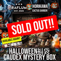 第二弾!! 10/18 正午12時スタート！🎃ハロウィン福袋【Caudex Mystery BOX】🎃 ※数量限定※