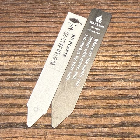 アガベ ハイブリット 特白肌怒雷神【台湾huplants2010産/中株販売】RF25012254