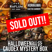10/17 21時スタート！🎃ハロウィン福袋スペシャルボックス【Caudex Mystery BOX】🎃 ※数量限定※