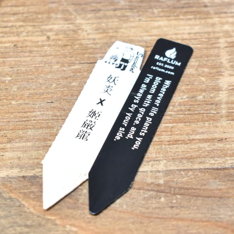 アガベ  ハイブリット "妖炎×姫厳龍" 【台湾re_pplants産/子株販売】RF25012294