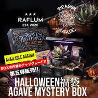 第五弾-02 10/12 21時スタート！内容アップグレード🎃ハロウィン福袋【Agave Mystery BOX】🎃