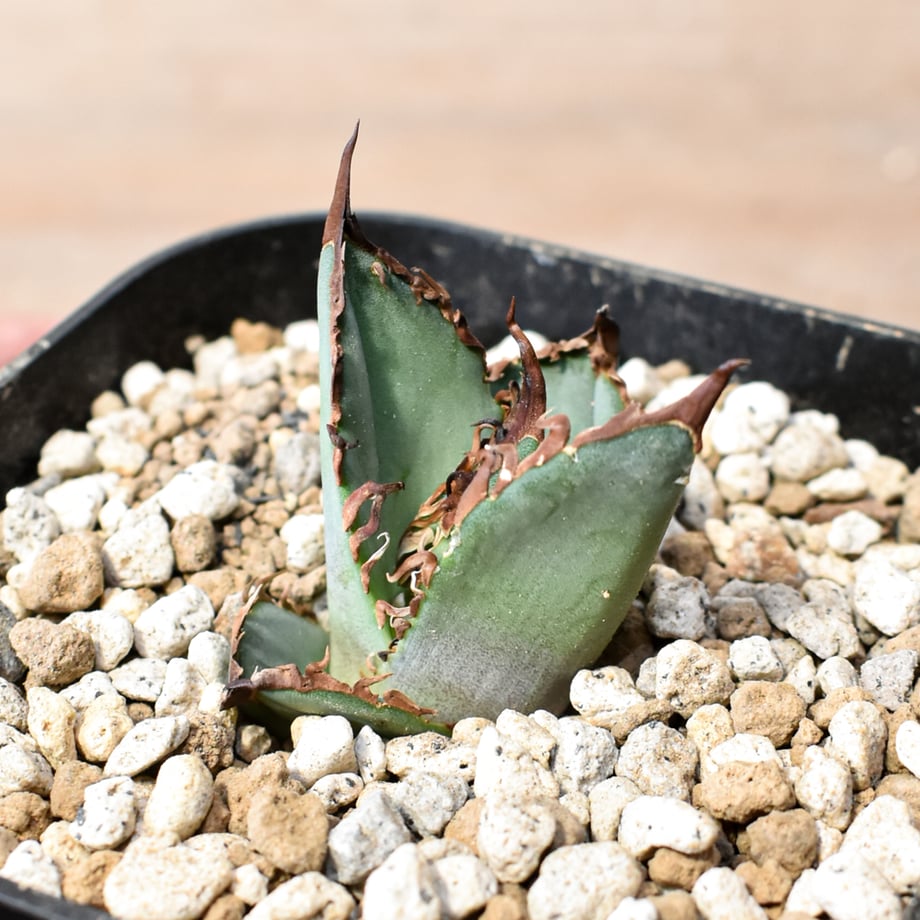 6a57b72d941bd69a95489478