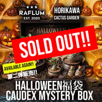 第二弾!! 10/18 21時スタート！🎃ハロウィン福袋スペシャルボックス【Caudex Mystery BOX】🎃