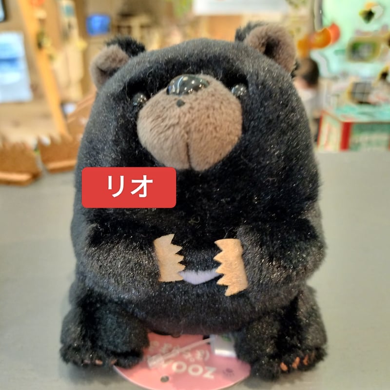 ぽちゃまるツキノワグマ | ZOOMO SHOP -Online-