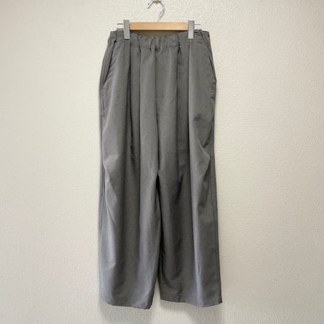 2025AW  / 定番販売品 / 販売継続品  mizuiro ind ワイドカーゴパンツ