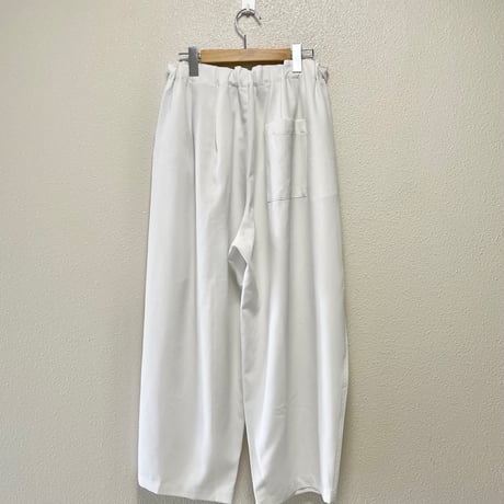 2025AW  / 定番販売品 / 販売継続品  mizuiro ind ワイドカーゴパンツ
