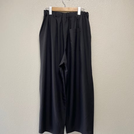 2025AW  / 定番販売品 / 販売継続品  mizuiro ind ワイドカーゴパンツ