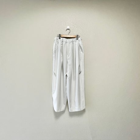 2025AW  / 定番販売品 / 販売継続品  mizuiro ind ワイドカーゴパンツ