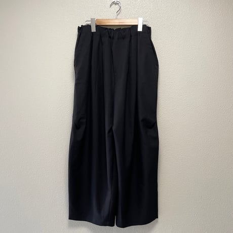 2025AW  / 定番販売品 / 販売継続品  mizuiro ind ワイドカーゴパンツ