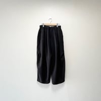 2025AW / 定番販売品 / 販売継続品 mizuiro ind ワイドカーゴパンツ