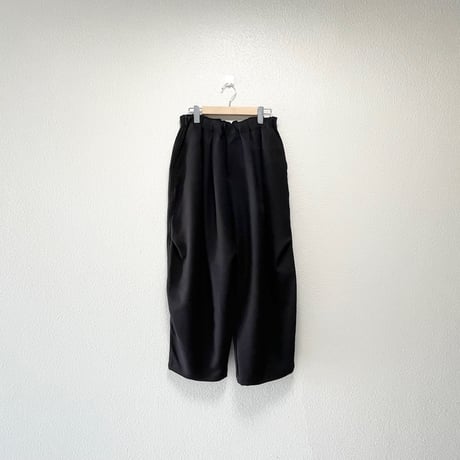 2025AW / 定番販売品 / 販売継続品 mizuiro ind ワイドカーゴパンツ