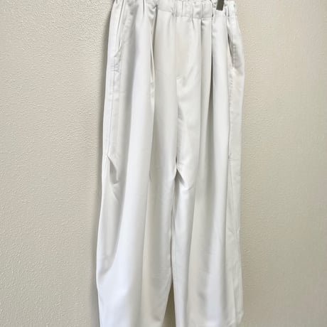 2025AW  / 定番販売品 / 販売継続品  mizuiro ind ワイドカーゴパンツ