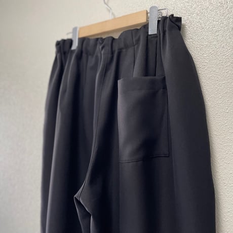 2025AW / 定番販売品 / 販売継続品 mizuiro ind ワイドカーゴパンツ