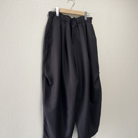 2025AW / 定番販売品 / 販売継続品 mizuiro ind ワイドカーゴパンツ