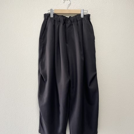 2025AW / 定番販売品 / 販売継続品 mizuiro ind ワイドカーゴパンツ