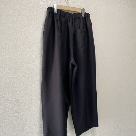 2025AW / 定番販売品 / 販売継続品 mizuiro ind ワイドカーゴパンツ
