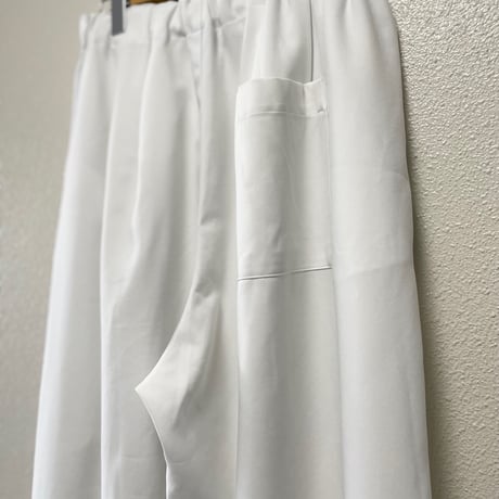 2025AW  / 定番販売品 / 販売継続品  mizuiro ind ワイドカーゴパンツ