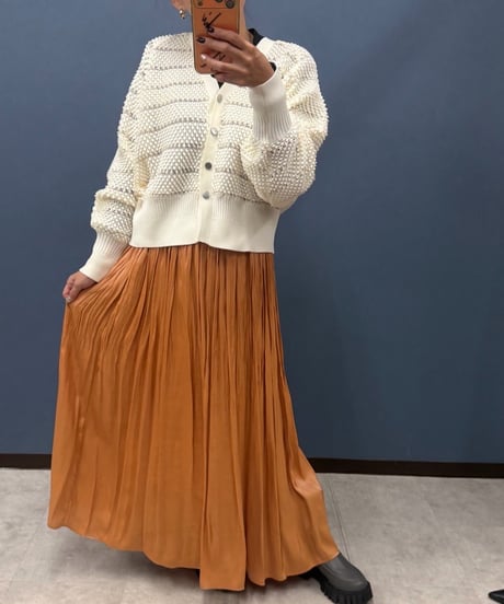 ATELIER SIX アトリエシックス　シャイニーワッシャープリーツロングスカート