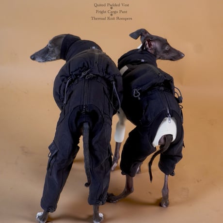 FLIGHT CARGO PANTS:BEIGE //ﾌﾗｲﾄカーゴパンツ:ﾍﾞｰｼﾞｭ