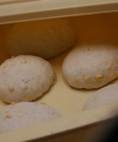 【●8/8(土)〜8/9(日) 発送】とうもろこしパン set