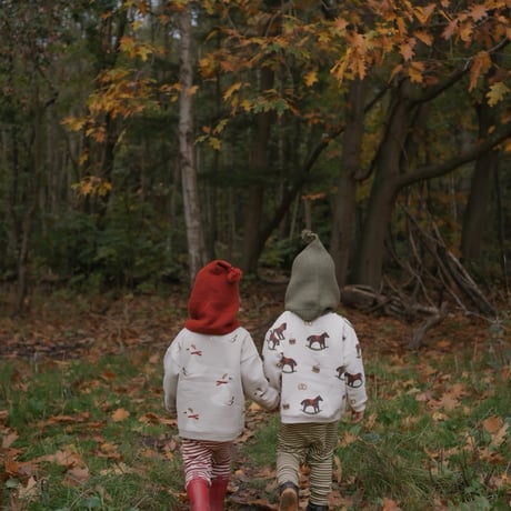 [X'Mas] Christmas Goose Sweatshirt / Organic Zoo