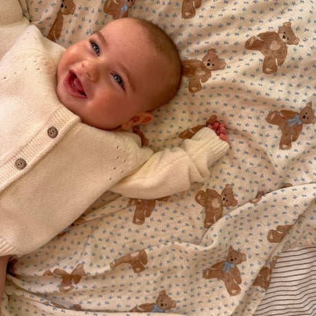 Teddy Bear Picnic Swaddle Blanket / Studley