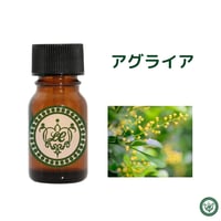 アグライア　アブソリュート Abs  管理番号D