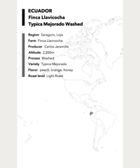 ECUADOR Finca Llavicocha Typica Mejorado Washed