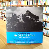 遠くから見たら島だった