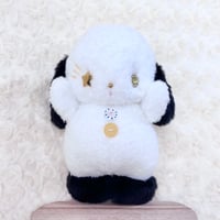 だっこちゃん うさぎ 流れ星