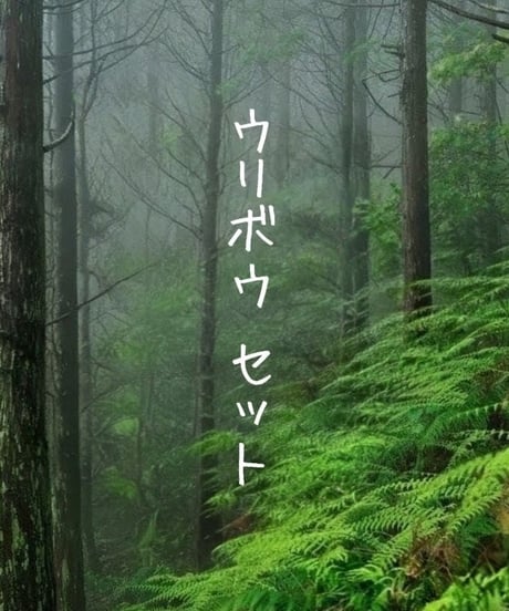 ✨️🌳大自然からの贈り物🌳✨️生捕り猪🐗まるっとウリボウ1頭分😃🎉1キロ👑ワン達🐶は大好き💕とても綺麗👩💖個数限定これは見逃せない👀‼️🌟ワン達の笑顔が溢れます😊🐶💕