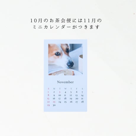 毎月届くご褒美「tetのお茶会便」