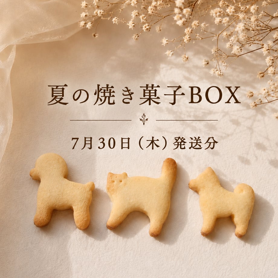 6a28e392be11ec005119192c