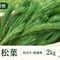 【🔄定期便｜🉐お得用】生松葉2kg（枝付き・無選別）｜松葉ジュース用