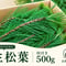 【🔰お試し】生松葉500g（枝付き）｜松葉ジュース用｜天然・無農薬