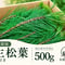 【🔄定期便｜🔰お試し】生松葉500g（枝付き）｜松葉ジュース用