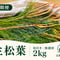 【🔄定期便｜🉐お得用】生松葉2kg（枝付き・無選別）｜松葉ジュース用