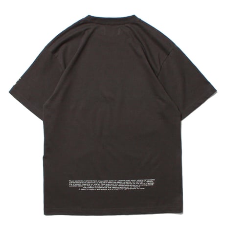 Mt. Fuji Photo Tee BLACK