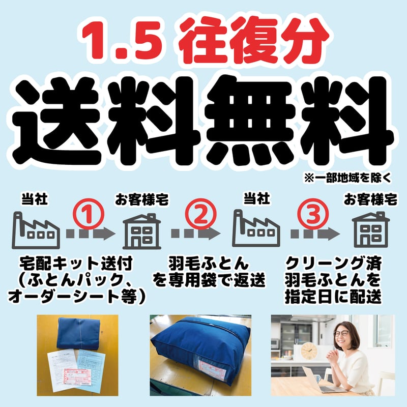 羽毛布団クリーニング防ダニ加工付き【シングル以下1枚コース】 | 羽毛